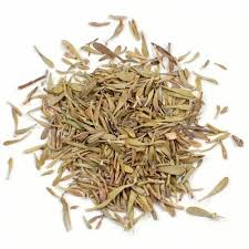 Thyme